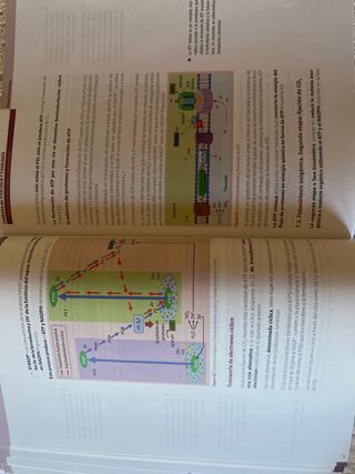 Cuaderno de Citología y Fisiología