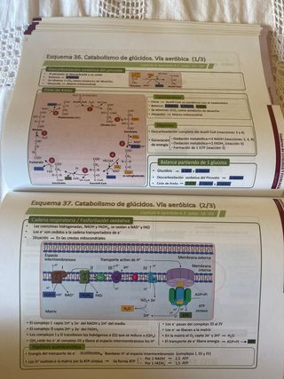 Cuaderno de Citología y Fisiología