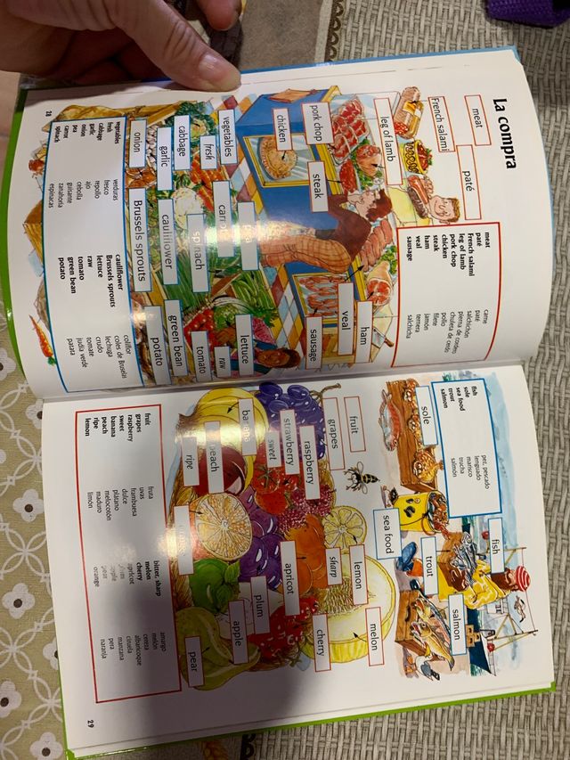 diccionario ingles para principiantes