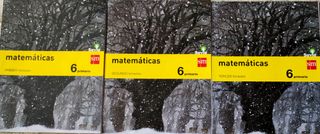 Matemáticas 6 Primaria