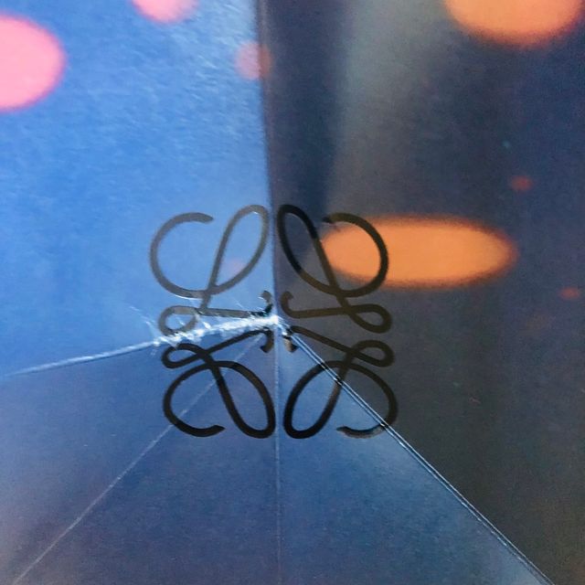 LOEWE X Howl's moving castle Bolsa de compras