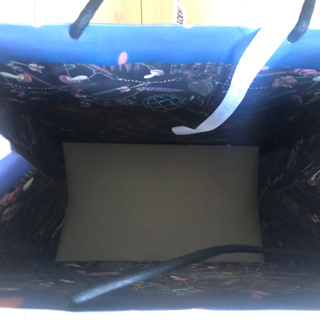 LOEWE X Howl's moving castle Bolsa de compras