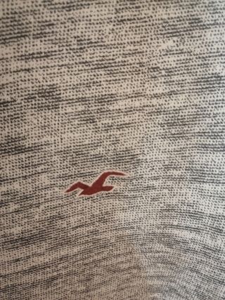 Camiseta gris Hollister