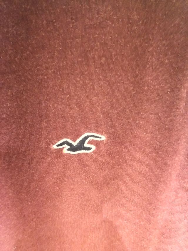 Camiseta Hollister