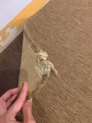 Mesa comedor mas alfombra