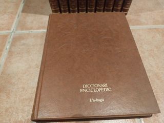Enciclopedia Salvat catala Diccionari Enciclopedic