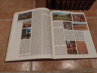 Enciclopedia Salvat catala Diccionari Enciclopedic