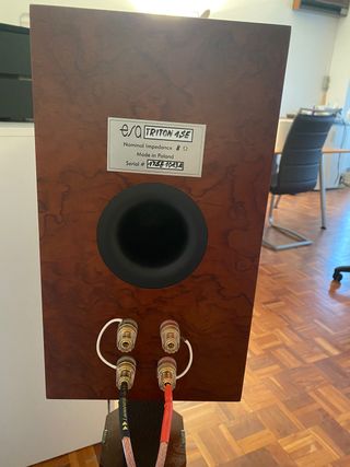 altavoces ESA Triton 1 SE