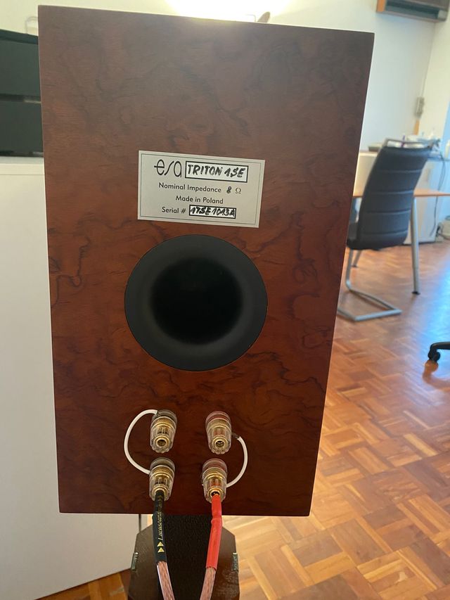 altavoces ESA Triton 1 SE