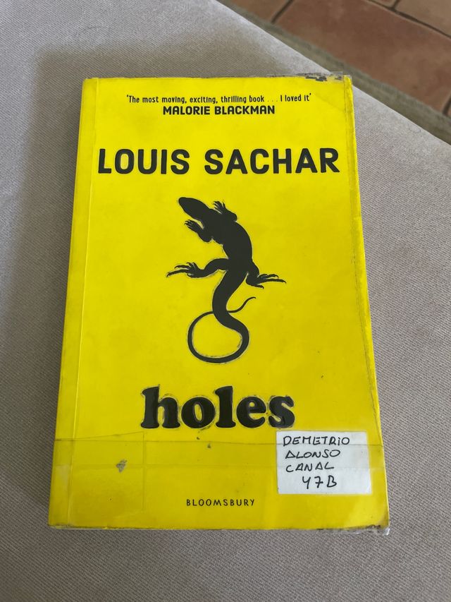 Libro in inglese «Holes». (È rivestito in PVC)