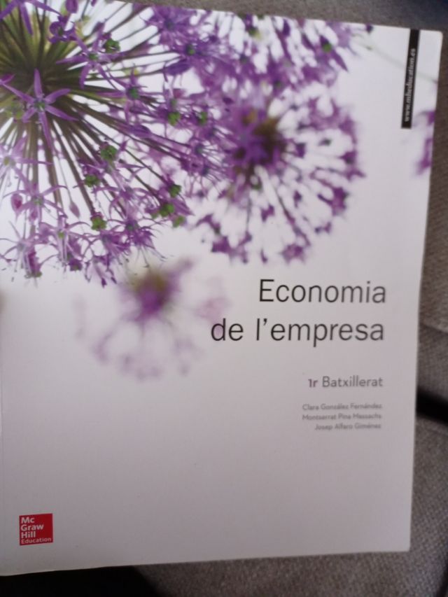 Economia de l'empresa. 1er batxillerat