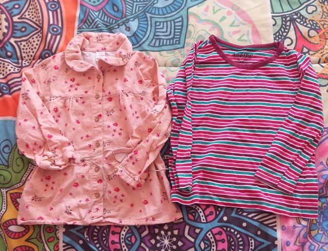 Lote ropa niña 2-3 años