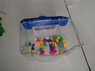 Pecera chiquitina con piedras de colores