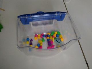 Pecera chiquitina con piedras de colores