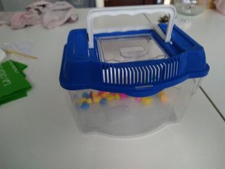 Pecera chiquitina con piedras de colores