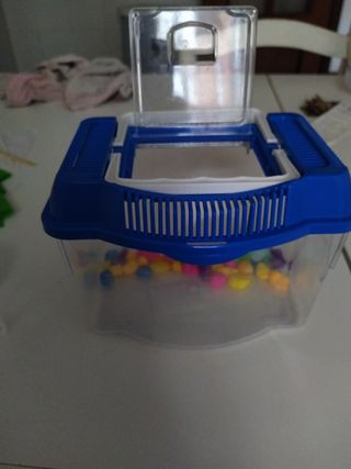 Pecera chiquitina con piedras de colores