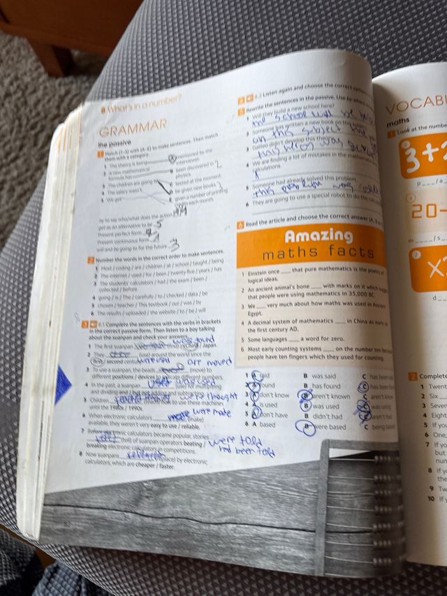 Gold experience B1+ Pre First fo Schools Workbook