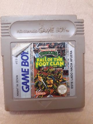 Fall of the foot clan