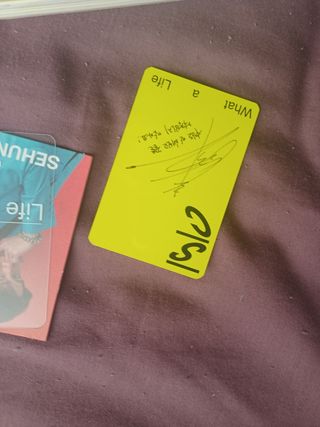 what a life - exo sc