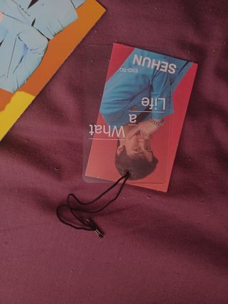 what a life - exo sc