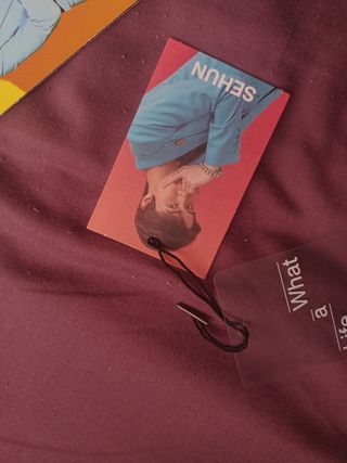 what a life - exo sc