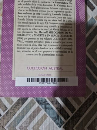 Melocotón en Almíbar Colección Austral