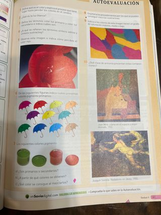 libro plastica 2 eso sm