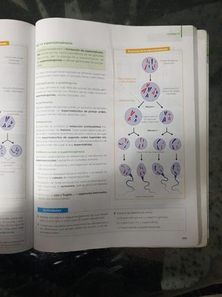 Libro Biología y Geología 1 bachillerato