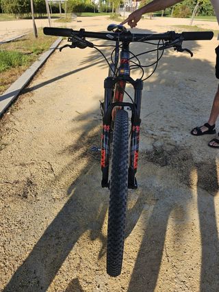 BH LYNX RACE 7.5 (2020) de 29"