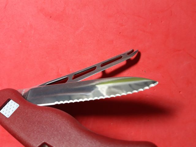 Victorinox SwissCheese