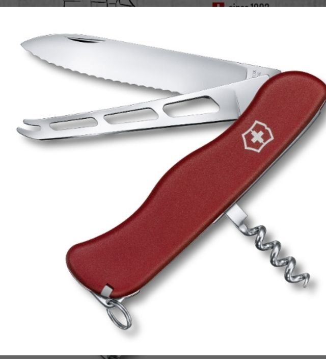 Victorinox SwissCheese