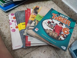 LIBROS 6°PRIMARIA
