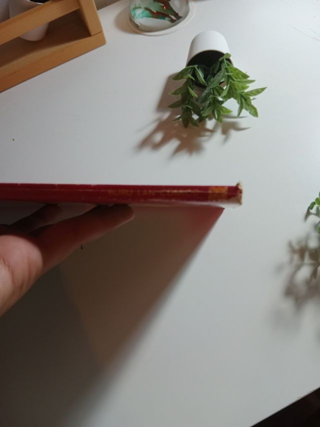 Carlitos y Los Cebollitas Snoopy