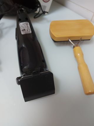 Cortador de pelo animales