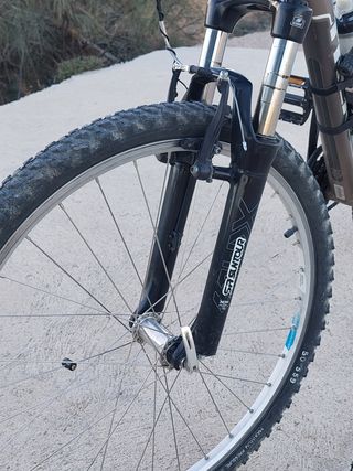 Bicicleta de montaña