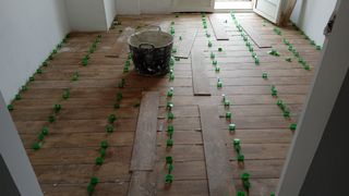 Alicatados y solados