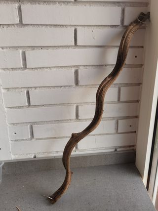 JAULA + 12 Juguetes y accesorios para pájaros