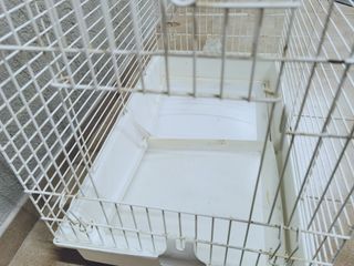 JAULA + 12 Juguetes y accesorios para pájaros