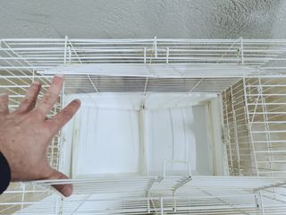 JAULA + 12 Juguetes y accesorios para pájaros