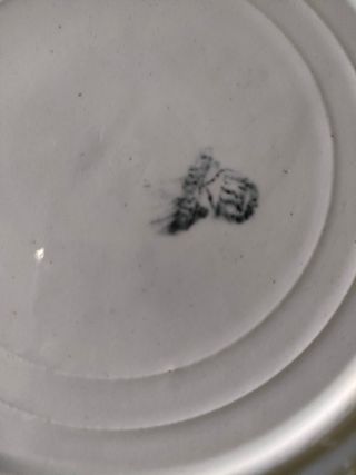 Platos vajillas antiguas porcelana