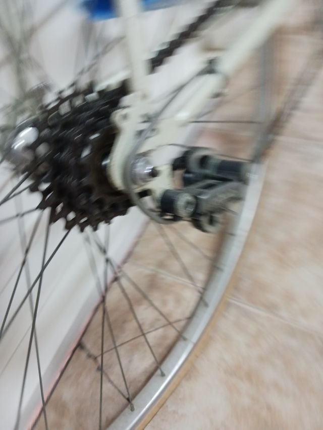 BICICLETA TORROT ARREGUI