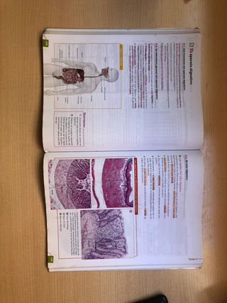 Libro Anatomia Aplicada 1 Bachillerato Anaya