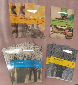 Libros de 6 de primaria
