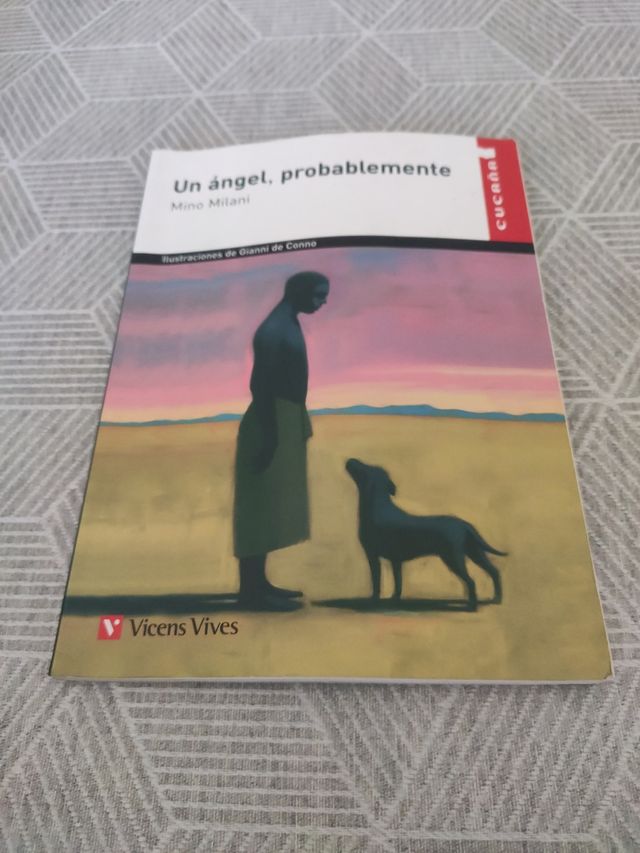 Un angelo, probabilmente