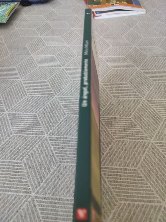 Un angelo, probabilmente