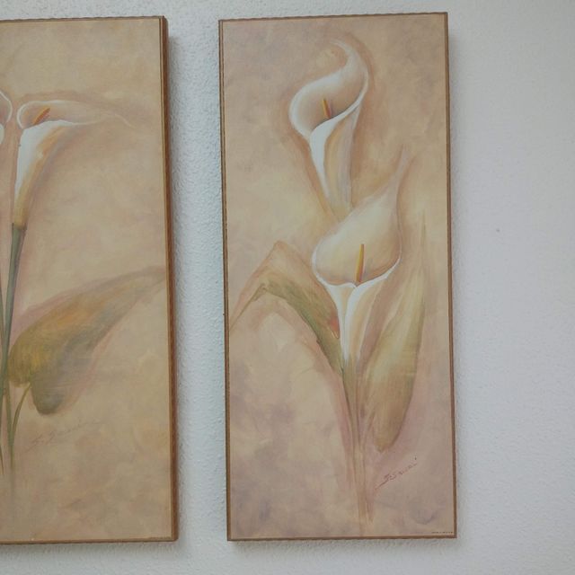 Set de 3 lienzos en madera con motivo floral