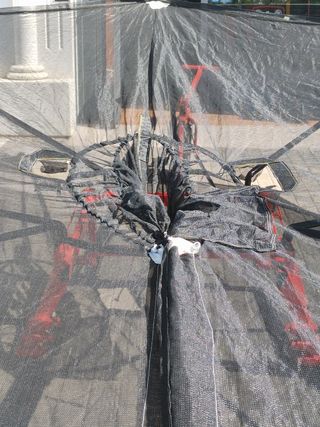 Paraguas recolector Aceituna