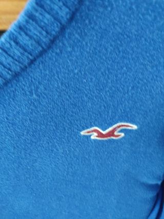 JERSEY HOLLISTER