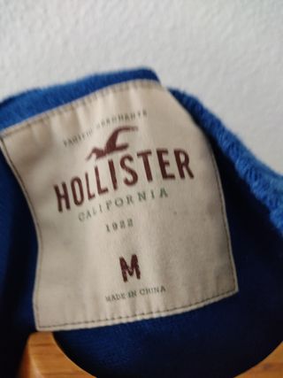 JERSEY HOLLISTER
