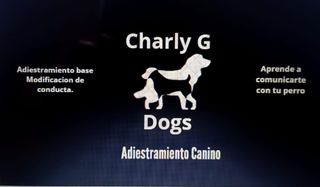 Adiestramiento canino.